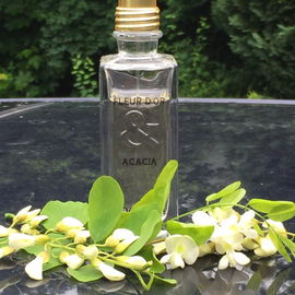 Fleur d'Or & Acacia - L'Occitane en Provence