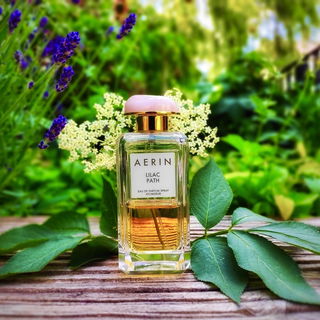 Lilac Path - Aerin