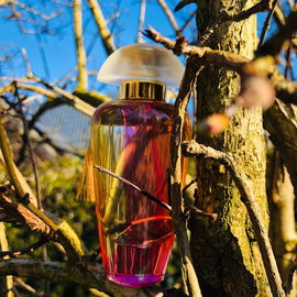 Liz Claiborne (Eau de Toilette) - Curve / Liz Claiborne