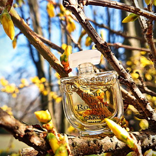 Fleur de Rocaille (1993) (Eau de Parfum) - Caron