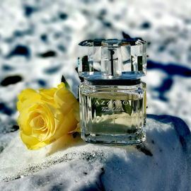 *Winterabschiedsfoto* Ich freue mich schon sehr auf den Frühling :-)