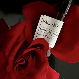 Ich hatte es um 180° gedreht…Umarme mich, wenn ich drohe zu fallen!