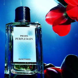 Purple Rain - Prada