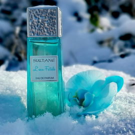 Ich habe dieses Foto schon seit 5 Monaten im Kopf, aber ich musste auf Schnee warten :-)  Für JungeJunge als Dankeschön für den Flakon, für Fresh, weil er die Farbe türkis mag und für Euch alle als Hoffnungsfoto für 2021...