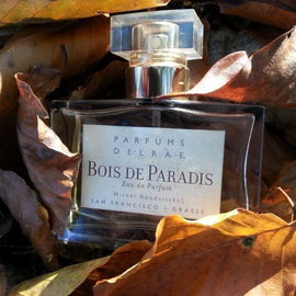 Bois de Paradis - Parfums DelRae