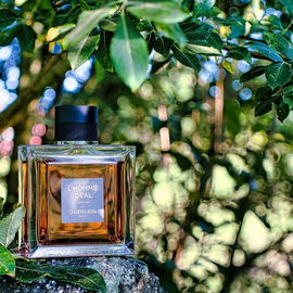 L'Homme Idéal Parfum - Guerlain