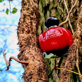 Hypnotic Poison (Eau de Toilette) von Dior