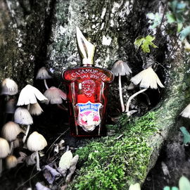 Casamorati - Bouquet Ideale (Eau de Parfum) - Xerjoff