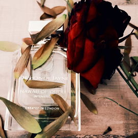 2. Nawab of Oudh Intensivo - Ormonde Jayne