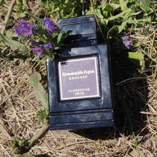 Florentine Iris (Eau de Parfum) by Ermenegildo Zegna
