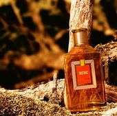 🍂 Golden-ambriertes Moosholz 🍂 (von MadameLegras)