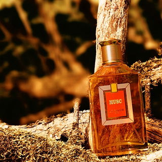 🍂 Golden-ambriertes Moosholz 🍂