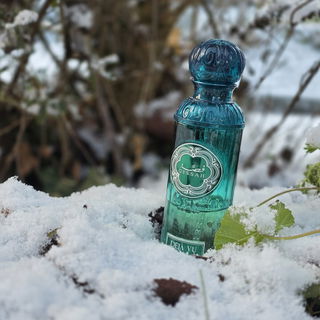 Timeless - Déjà Vu