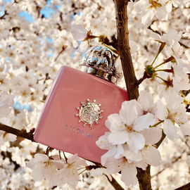 Blossom Love (Eau de Parfum) - Amouage