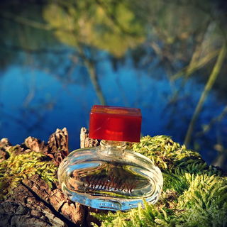 Symbiose (Eau de Toilette) - Stendhal