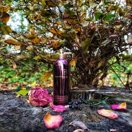 Aoud Purple Rose - Montale