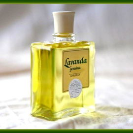 Die letzte Version des Lavanda von Myrurgia.