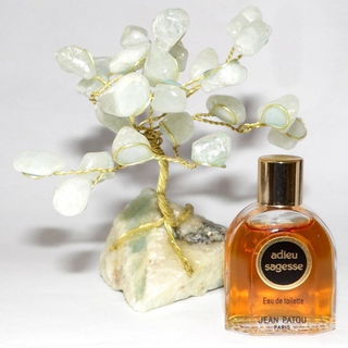 Adieu Sagesse (1925) - Jean Patou