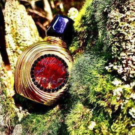 Mon Parfum Gold - M. Micallef
