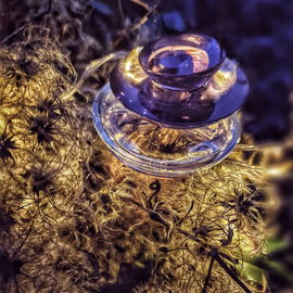by ChatonNoir