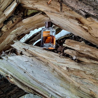 Hard Wood von Fragrance World