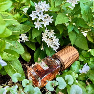 Narcotic V. / Narcotic Venus (Extrait de Parfum) von Nasomatto