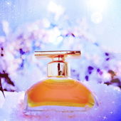 In 1 Monat ist Weihnachten ;) (by Gandix)