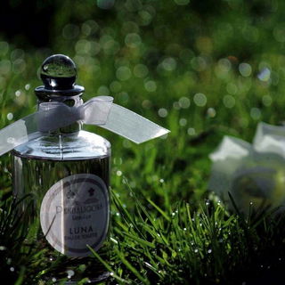 Dankeschön, ich freue mich sehr :-)