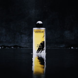 Beach Bizarre - V/siteur