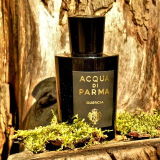 Quercia (Eau de Parfum) - Acqua di Parma