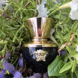 Versace pour Femme Dylan Blue von Versace