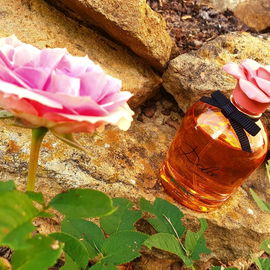 Dolce Garden - Dolce & Gabbana