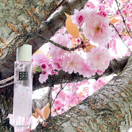 The Ritual of Sakura / Blossom Water - Cherry Blossom - Rituals