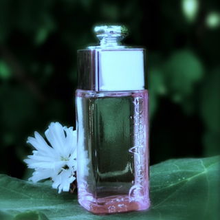 Dior Addict 2 von Dior