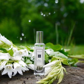 Wild Bluebell (Cologne) - Jo Malone