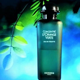 Concentré d'Orange Verte - Hermès