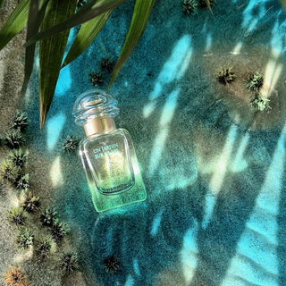 Un Jardin sur le Nil (Eau de Toilette) by Hermès