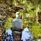 ... und hier schließlich beim Bad am schattigen Ufer... 😊 Vielen Dank an alle, die den kleinen CK One auf seiner Erfrischungstour begleitet haben! 🤗💚 (by Lavendel18)