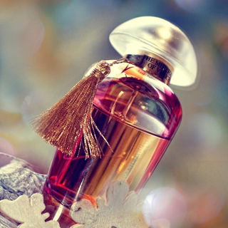 Suave Petals - The Merchant Of Venice