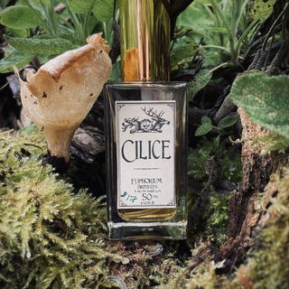 Cilice (Eau de Parfum) - Euphorium Brooklyn