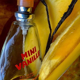 Mini Vanille - Ulric de Varens