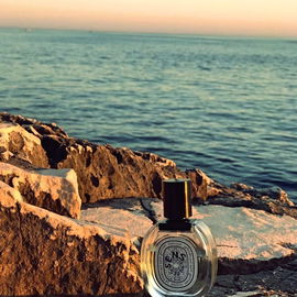 Eau des Sens (Eau de Toilette) - Diptyque