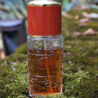 EdT Vaporisateur 1991-2003