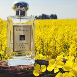 White Jasmine & Mint - Jo Malone