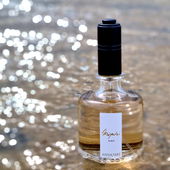 Das Wasser kommt wieder. (by Ahoi)