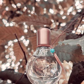 Bohemian Romance (Eau de Toilette) - Betty Barclay
