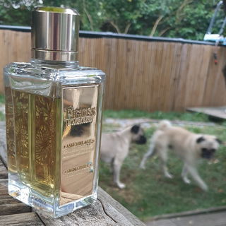 Figues & Agrumes by Lancôme