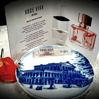 Die intensive Stimme über der Oper