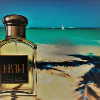 Havana (Eau de Toilette) von Aramis