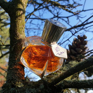 Alien Les Parfums de Cuir von Mugler